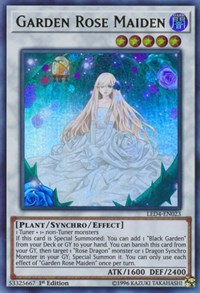 Garden Rose Maiden