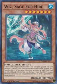 Wiz, Sage Fur Hire