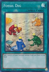 Fossil Dig